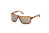 Sonnenbrille Web WE0301 (52Q)