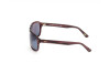 Lunettes de soleil Web WE0301 (69V)