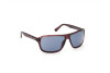 Sunglasses Web WE0301 (69V)