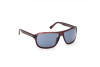 Lunettes de soleil Web WE0301 (69V)