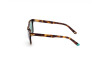 Lunettes de soleil Web WE0308 (52P)