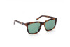 Lunettes de soleil Web WE0309 (52P)