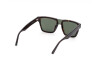 Lunettes de soleil Web WE0314 (52P)