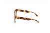 Sonnenbrille Web WE0315 (41F)