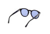 Sunglasses Web WE0324 (56V)