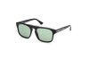 Sonnenbrille Web WE0325 (05N)