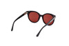 Sunglasses Web WE0326 (56S)