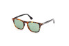 Sonnenbrille Web WE0327 (56N)