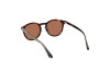 Sunglasses Web WE0328 (56E)