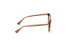 Sonnenbrille Web WE0329 (50E)