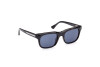 Sunglasses Web WE0336 (56V)