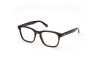 Eyeglasses Web WE5372 (052)