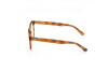 Eyeglasses Web WE5372 (053)