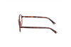 Eyeglasses Web WE5376 (053)