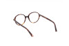 Eyeglasses Web WE5376 (053)