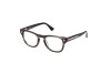 Eyeglasses Web WE5384 (020)