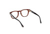 Brille Web WE5384 (050)