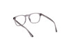 Brille Web WE5386 (020)