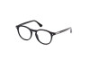 Lunettes de vue Web WE5387 (005)