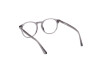 Brille Web WE5387 (020)