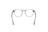 Brille Web WE5387 (084)