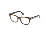 Brille Web WE5397 (052)