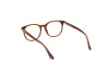 Brille Web WE5398 (048)