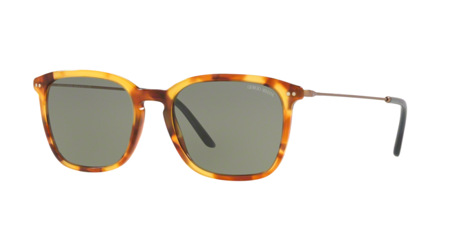 Sunglasses Giorgio Armani AR 8111 (5760/2)
