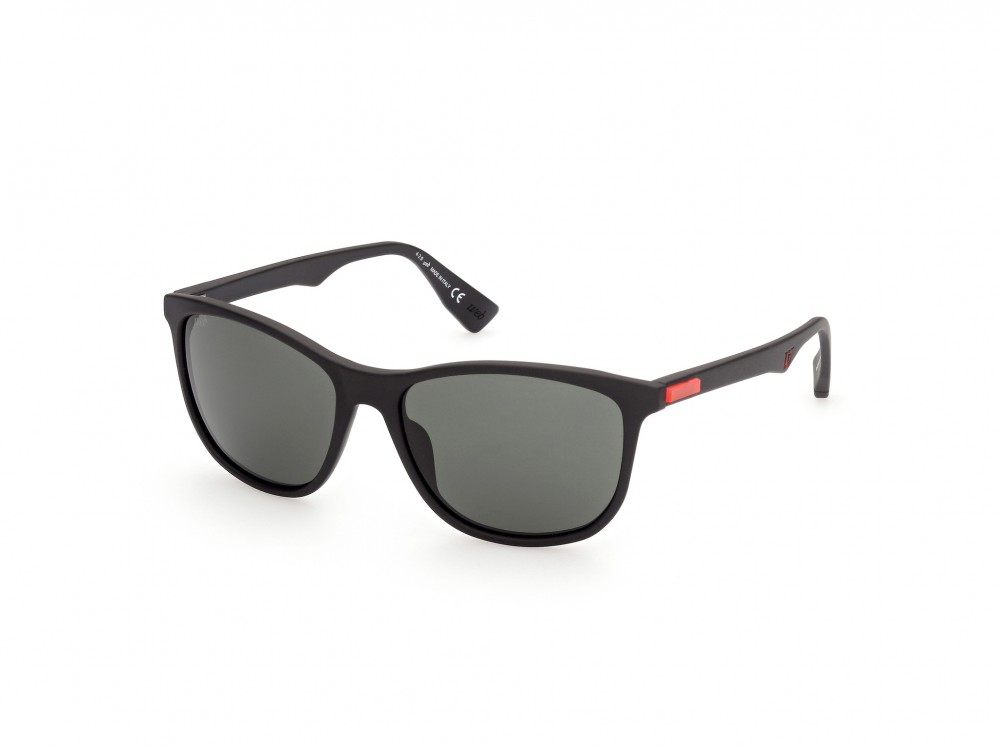 Sunglasses Web WE0300 (02N)